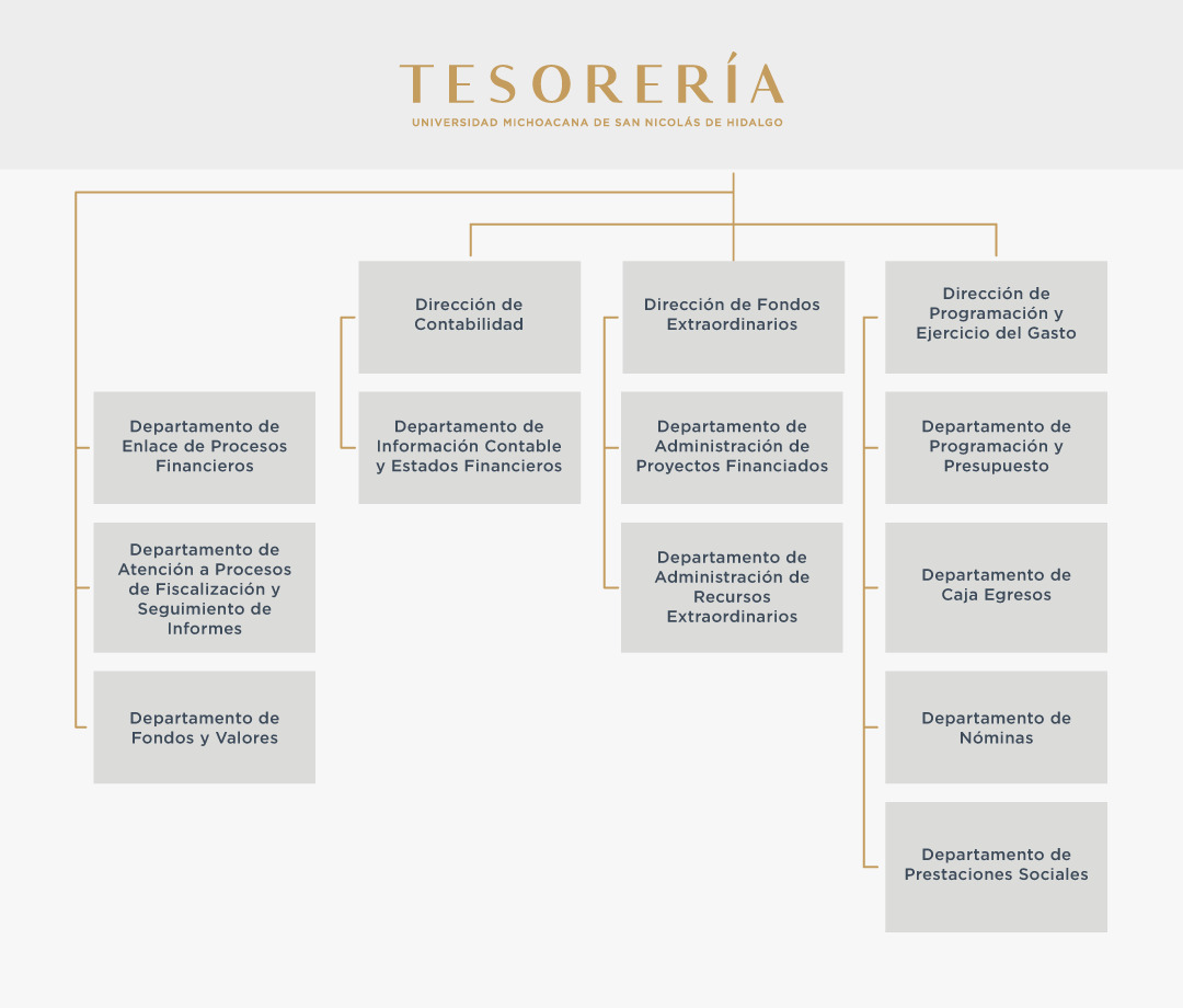 Organigrama de la Tesorería