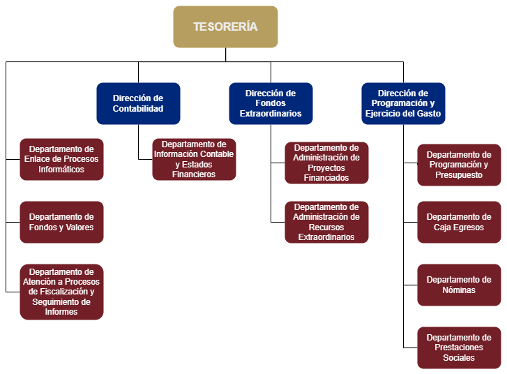 Organigrama de la Tesorería